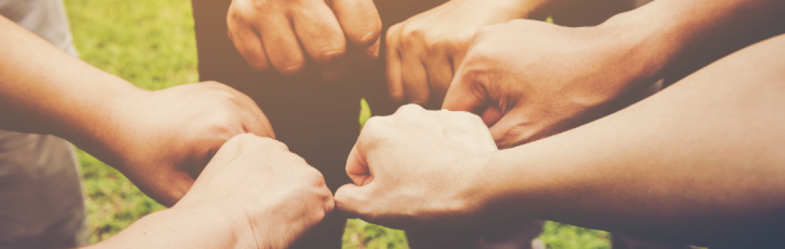 Los campamentos empresariales, una excelente opción en renta de cabañas